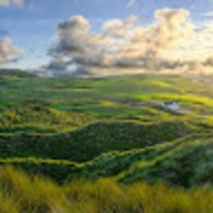 Meet your Posher, Carol